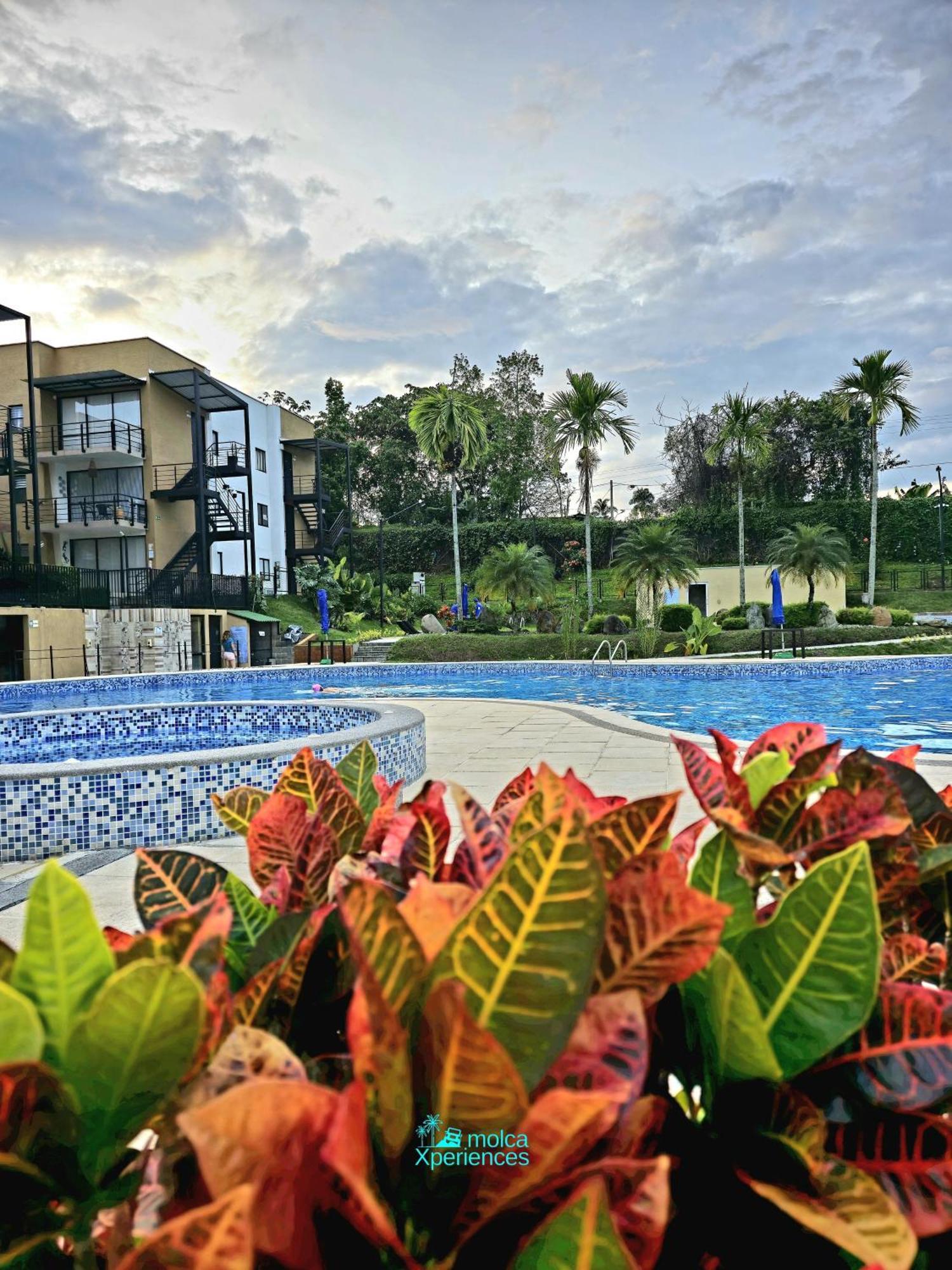 Apartamento Privado Vacacional A 5M Del Aeropuerto, 20 Minutos Del Parque Del Cafe Y Centro De Armenia Con 4 Piscinas, 3 Jacuzzi, Sauna By Molca Xperiences 3H Luaran gambar