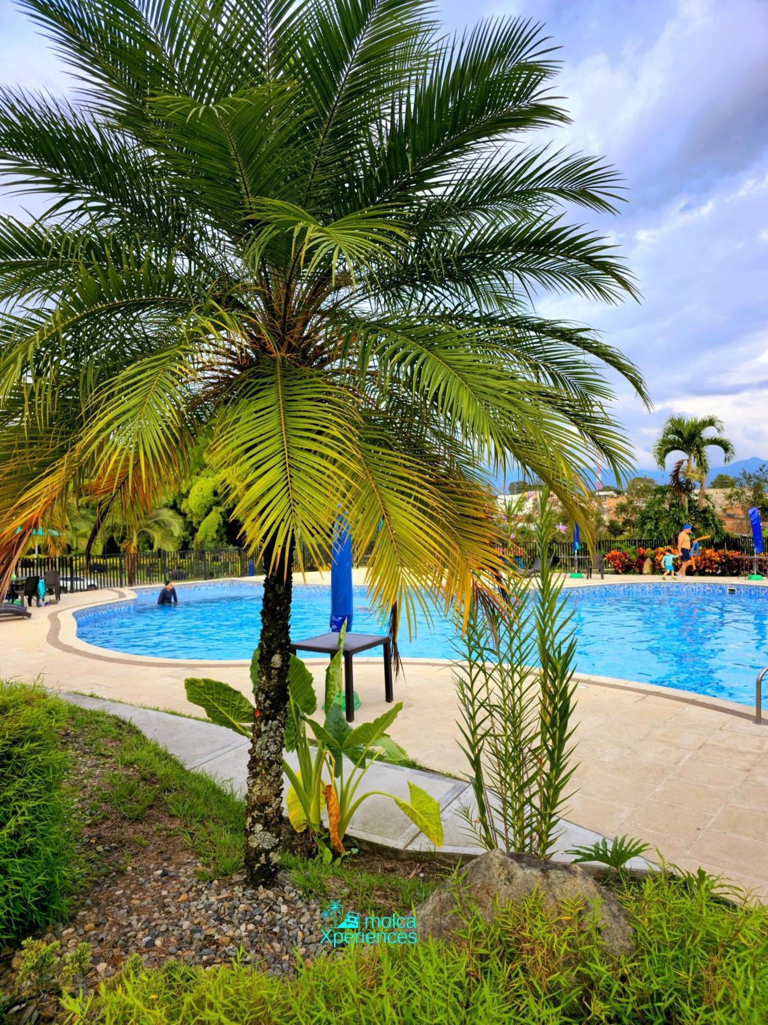 Apartamento Privado Vacacional A 5M Del Aeropuerto, 20 Minutos Del Parque Del Cafe Y Centro De Armenia Con 4 Piscinas, 3 Jacuzzi, Sauna By Molca Xperiences 3H Luaran gambar